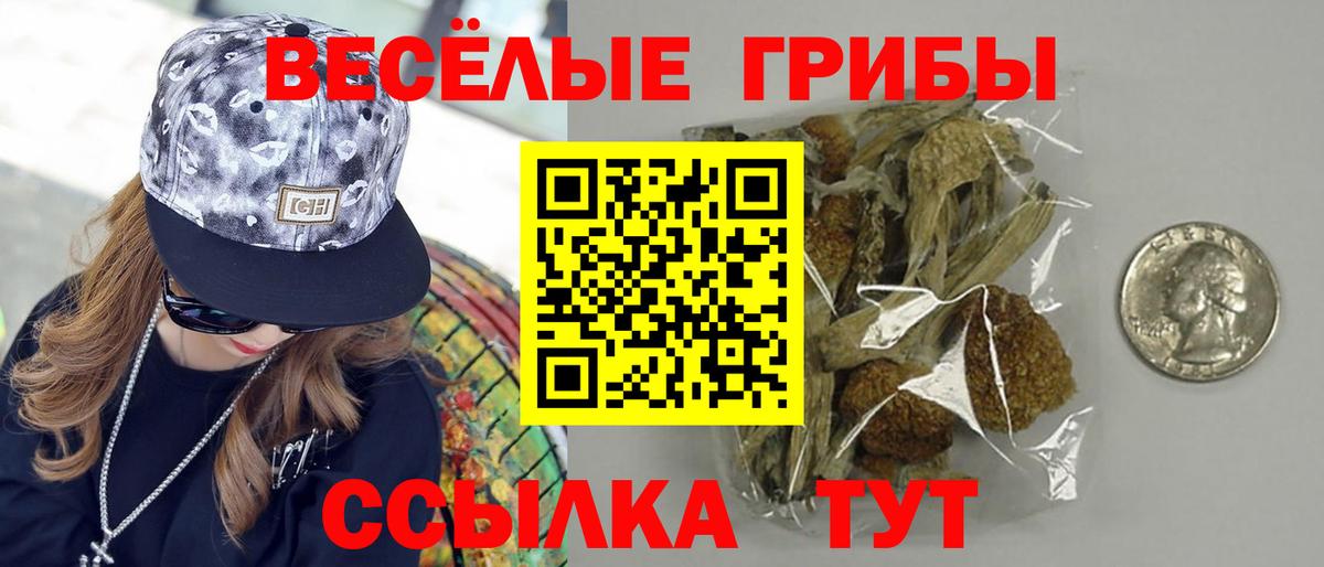 Южноуральск  Псилоцибиновые грибы Magic Shrooms  Вход с VPN 