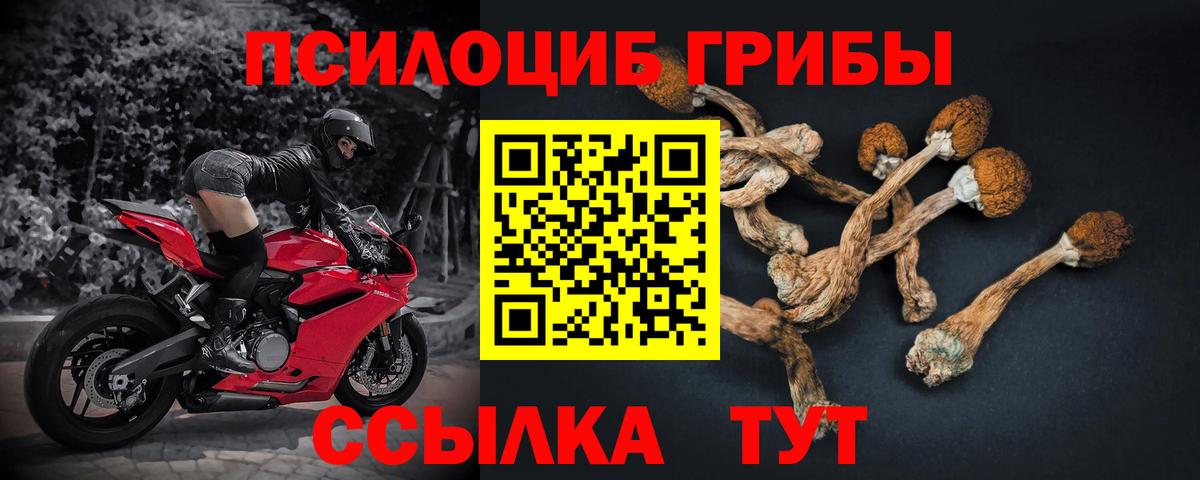 Псилоцибиновые грибы прущие грибы Южноуральск